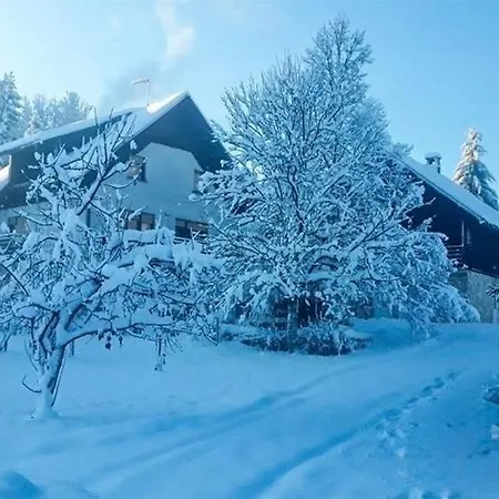 House With A Parking Space Srednja Draga, Gorski Kotar - 24140 * Tršće